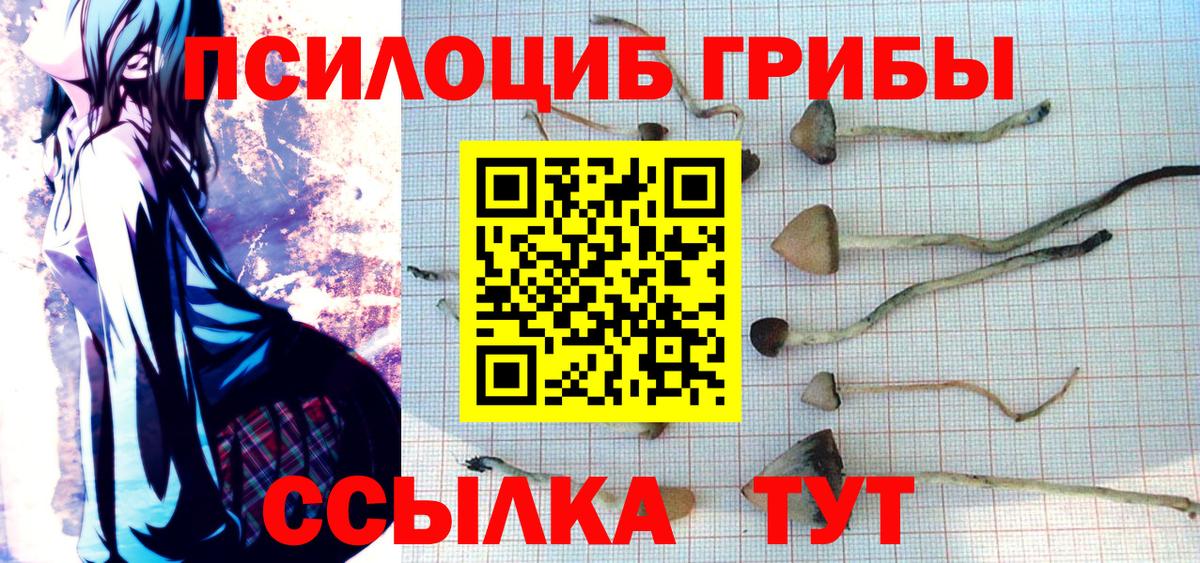 Галлюциногенные грибы Magic Shrooms Прокопьевск