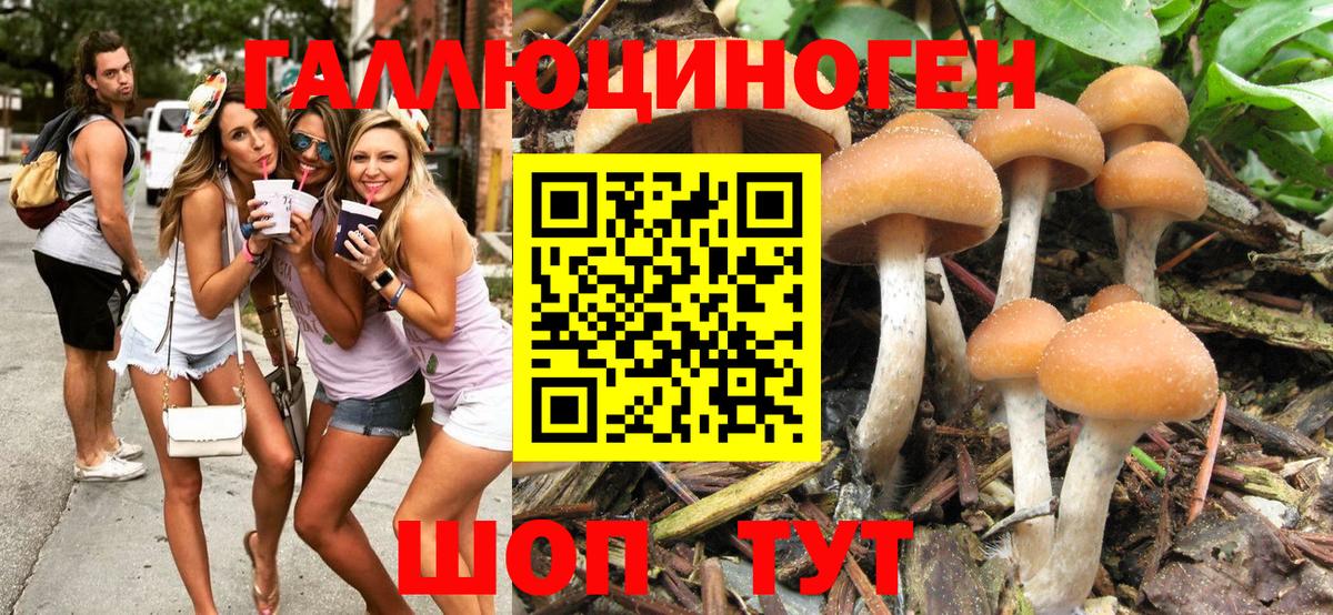 Галлюциногенные грибы MAGIC MUSHROOMS  Вход с VPN  Прокопьевск  Псилоцибиновые грибы мухоморы 